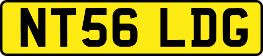 NT56LDG