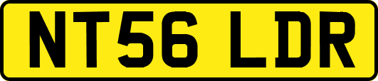 NT56LDR