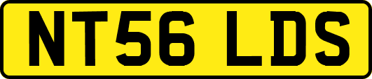 NT56LDS