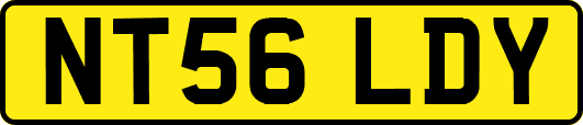 NT56LDY