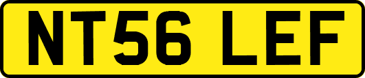 NT56LEF