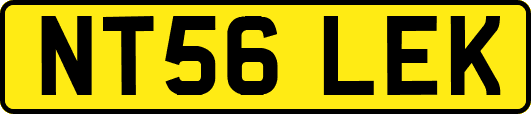 NT56LEK