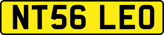 NT56LEO
