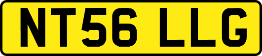 NT56LLG