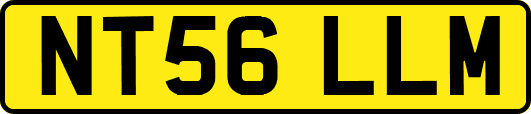 NT56LLM