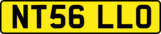 NT56LLO