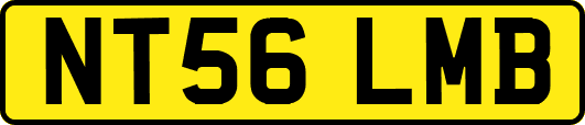 NT56LMB