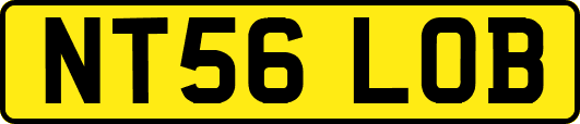 NT56LOB