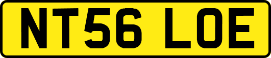 NT56LOE