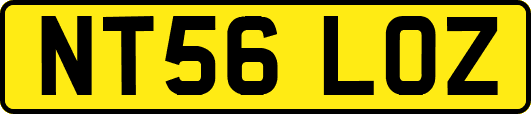NT56LOZ