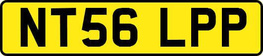 NT56LPP