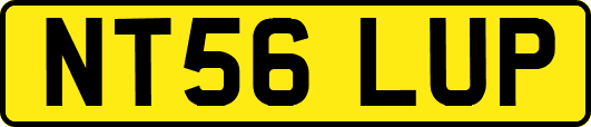 NT56LUP