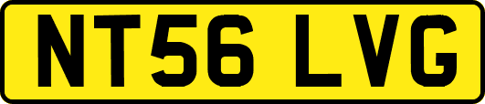 NT56LVG