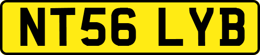 NT56LYB