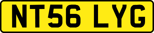 NT56LYG