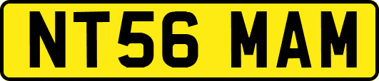 NT56MAM