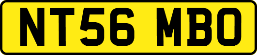 NT56MBO