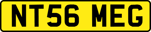 NT56MEG