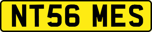 NT56MES