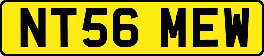 NT56MEW