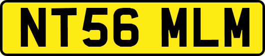 NT56MLM