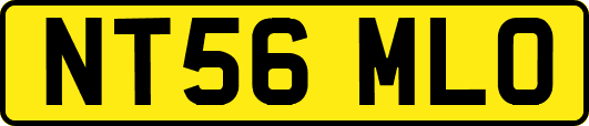 NT56MLO