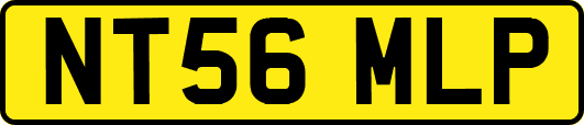 NT56MLP