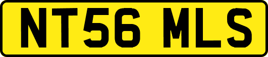 NT56MLS