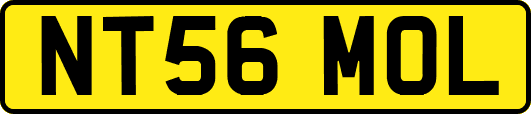 NT56MOL