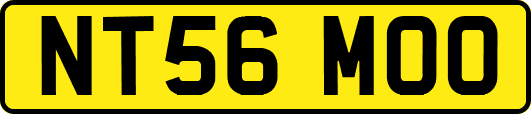 NT56MOO