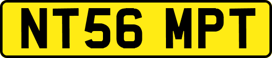 NT56MPT