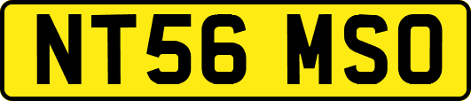NT56MSO