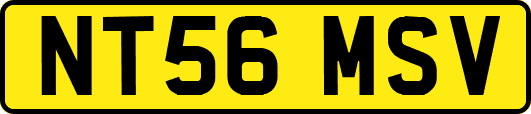 NT56MSV