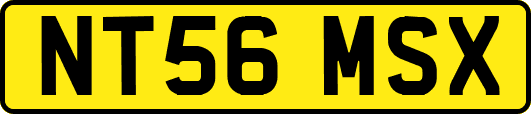 NT56MSX