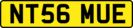 NT56MUE