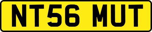 NT56MUT