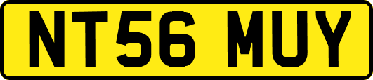 NT56MUY