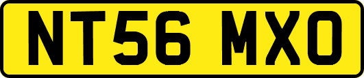 NT56MXO