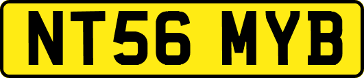 NT56MYB