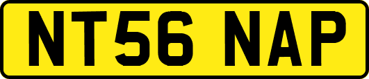 NT56NAP