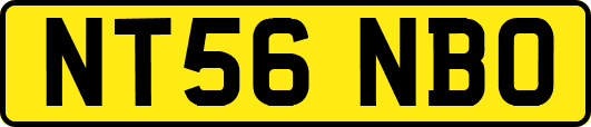 NT56NBO