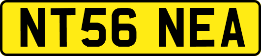 NT56NEA