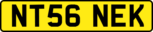 NT56NEK