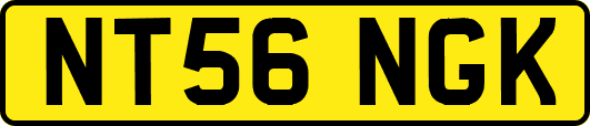 NT56NGK