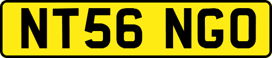 NT56NGO