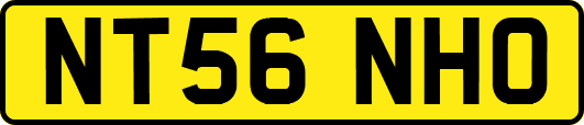 NT56NHO