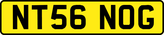 NT56NOG