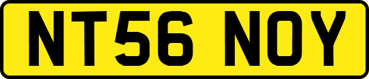 NT56NOY