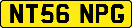 NT56NPG