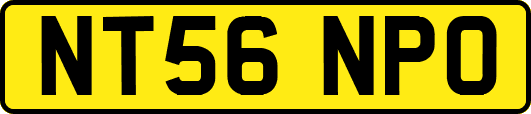 NT56NPO